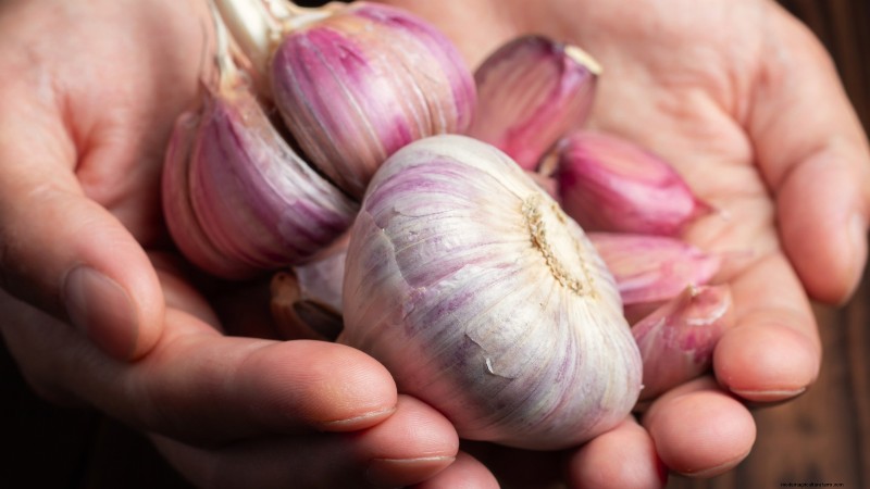 Choosing Quality Seed Garlic: A Guide for Growers