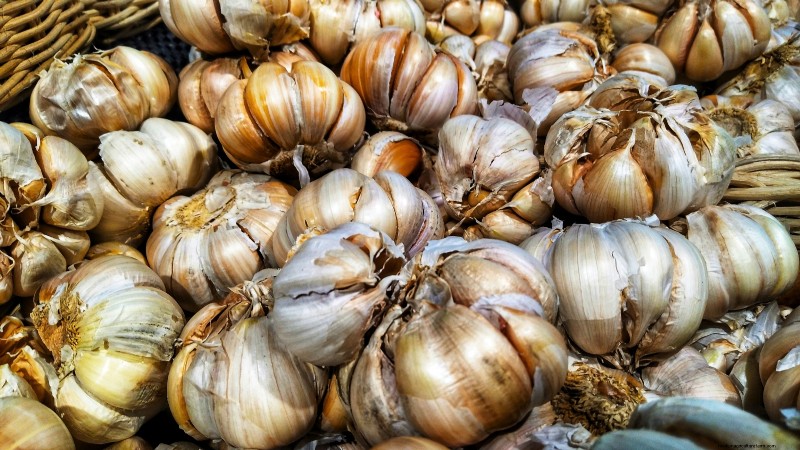 Choosing Quality Seed Garlic: A Guide for Growers