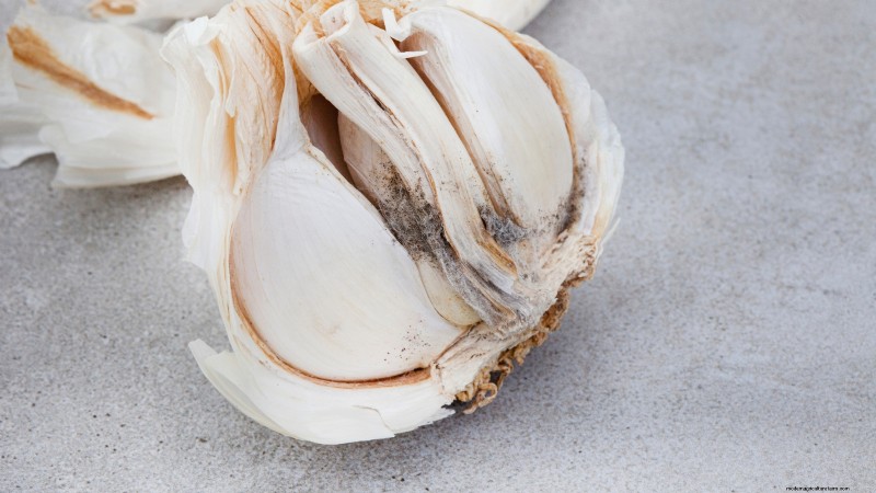 Inchelium Red Garlic: Planting, Growing & Care Guide