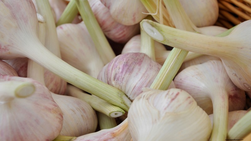 Garlic Yield: How Many Cloves Per Bulb & Planting Guide