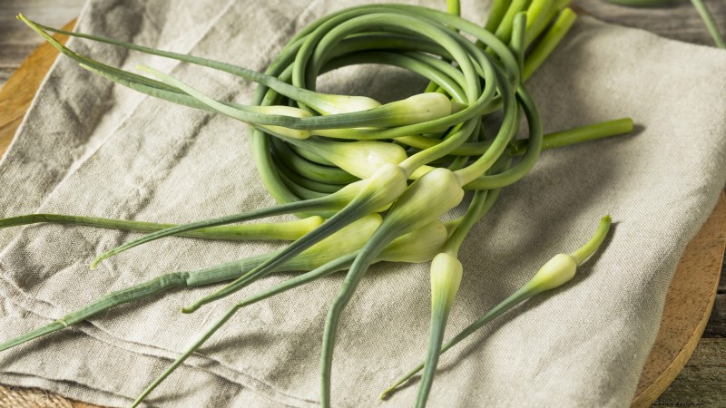Grow Garlic: 7 Reasons to Plant Your Own This Year | [Your Brand/Website]