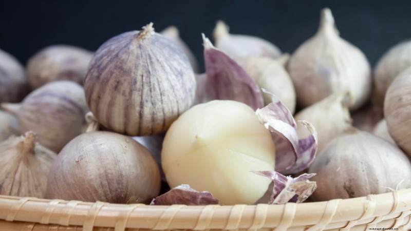 Preparing Garden Beds for Garlic Planting: A Step-by-Step Guide