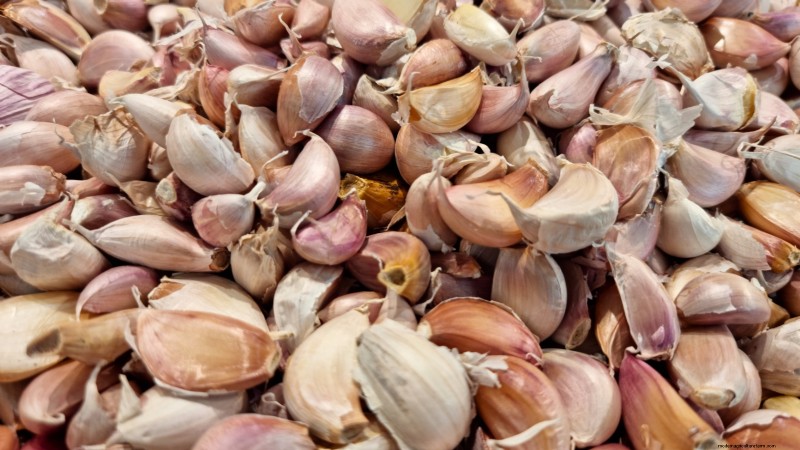 Preparing Garden Beds for Garlic Planting: A Step-by-Step Guide