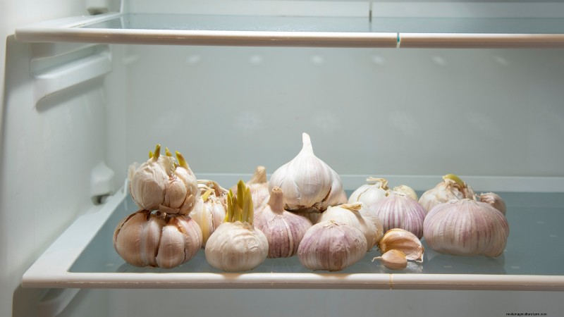 Garlic Planting Guide: Fall vs. Summer - What You Need to Know