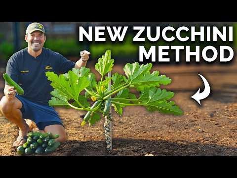 Vertical Squash Growing: Maximize Yield & Space - Expert Guide