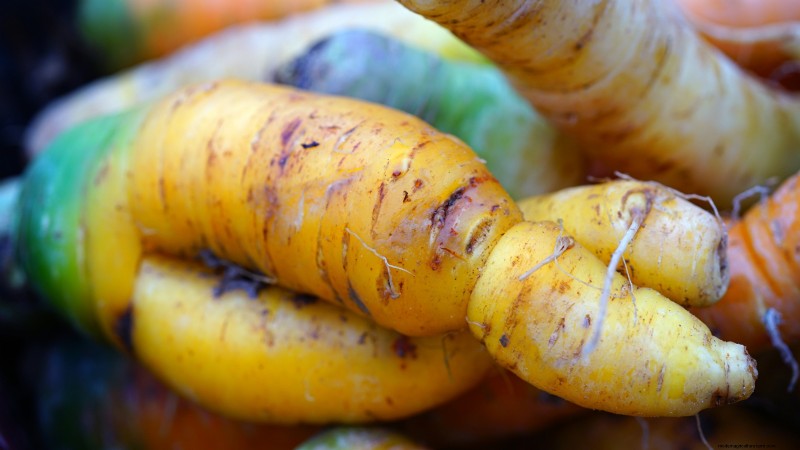Understanding Deformed Carrots: Causes & Solutions