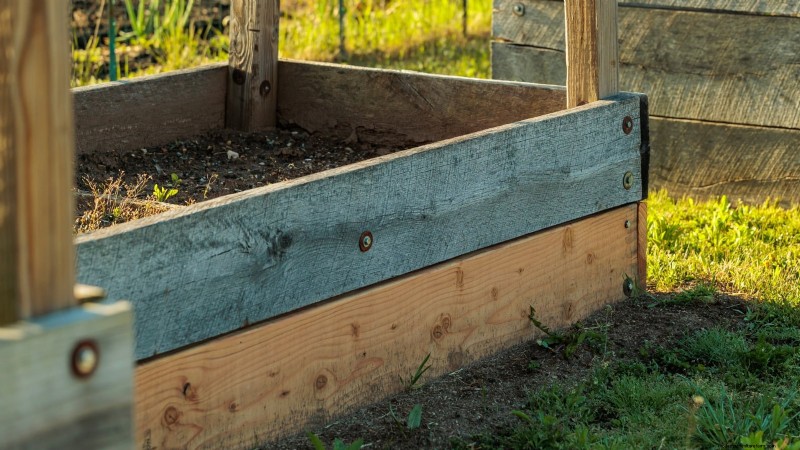 Grow Peppers in Raised Beds: A Guide to Abundant Yields