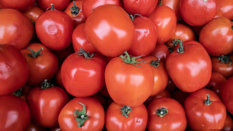 Tomato Harvesting: When to Pick for Best Flavor & Quality
