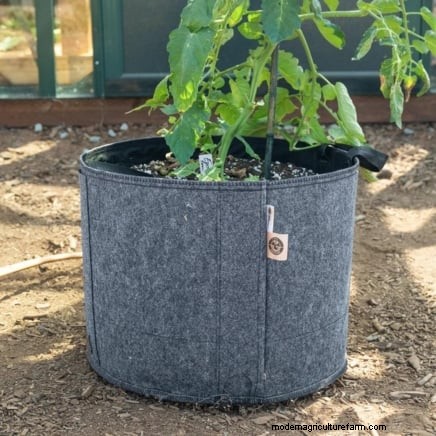 Grow More Potatoes: 9 Tips for Successful Raised Bed Planting