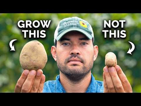 Grow More Potatoes: 9 Tips for Successful Raised Bed Planting