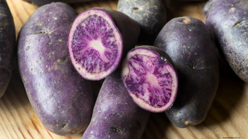 Grow More Potatoes: 9 Tips for Successful Raised Bed Planting