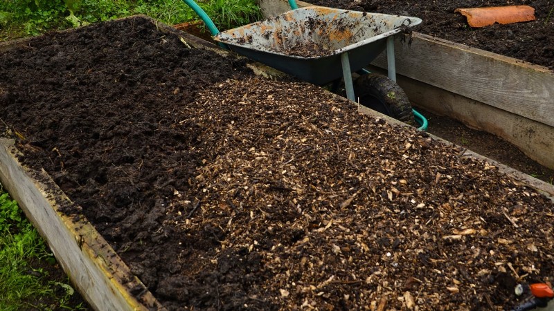 Grow More Potatoes: 9 Tips for Successful Raised Bed Planting