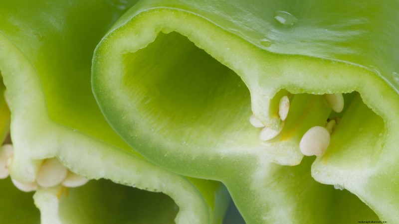 Anaheim Peppers: Planting, Growing & Care Guide | [Your Brand/Website Name]