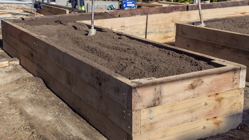 Grow Grapes in Raised Beds: A Comprehensive Guide