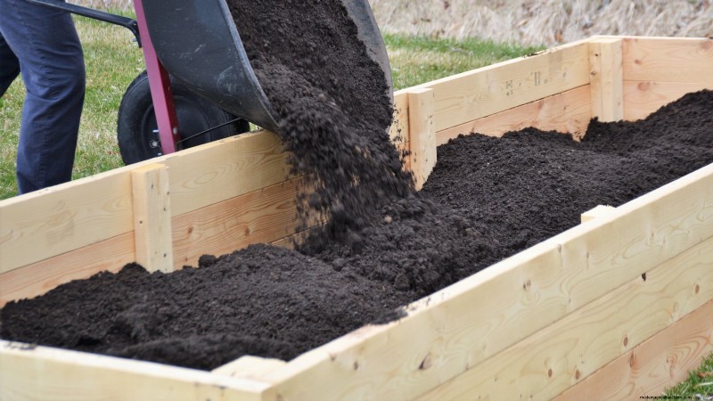 Grow Grapes in Raised Beds: A Comprehensive Guide