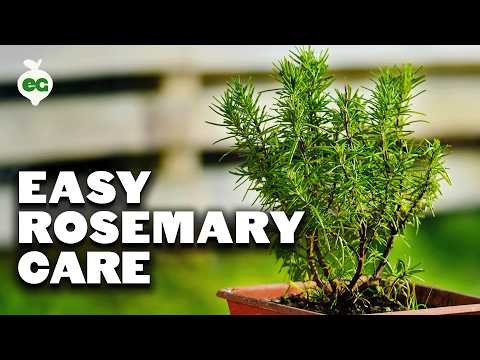 Cold-Hardy Herbs: 25 Varieties for Winter Garden Success