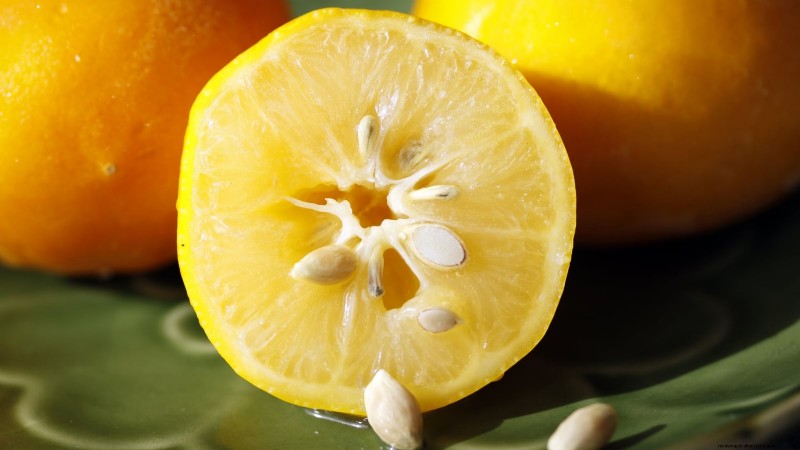 Growing Improved Meyer Lemon Bushes: A Complete Guide
