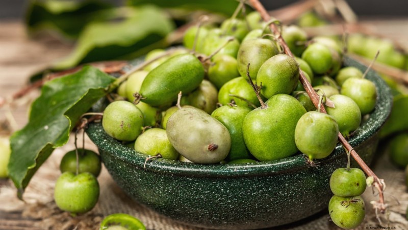 Grow Prolific Hardy Kiwi Vines: Planting, Care & Harvesting