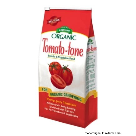 Unlock Exceptional Tomato Flavor: 13 Expert Growing Tips