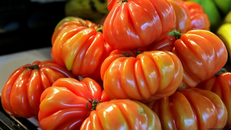 Unlock Exceptional Tomato Flavor: 13 Expert Growing Tips