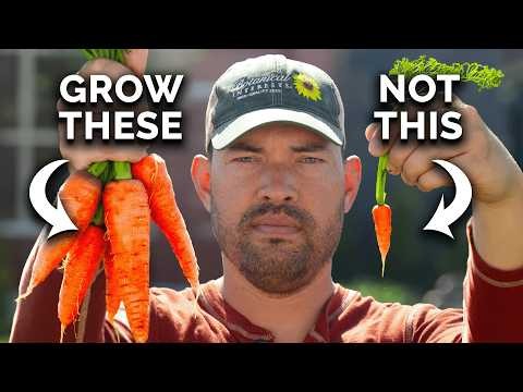Grow Perfect Carrots: 5 Expert Tips for Raised Beds