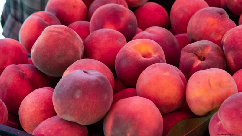 Freestone vs. Clingstone Peaches: A Comprehensive Guide