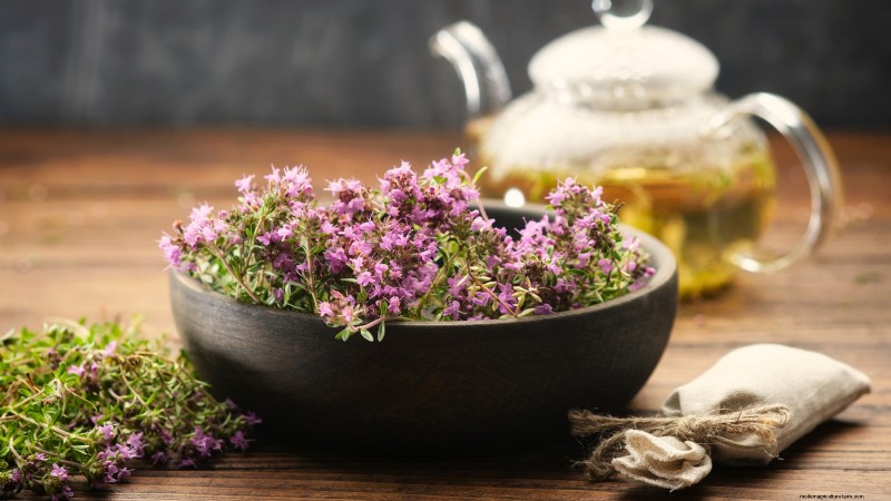 English Thyme: Planting, Growing & Care Guide | [Your Website Name]