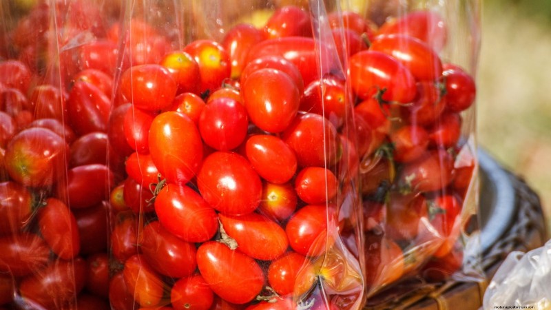 Heirloom Tomatoes: Top 21 Varieties for Flavor & Resilience