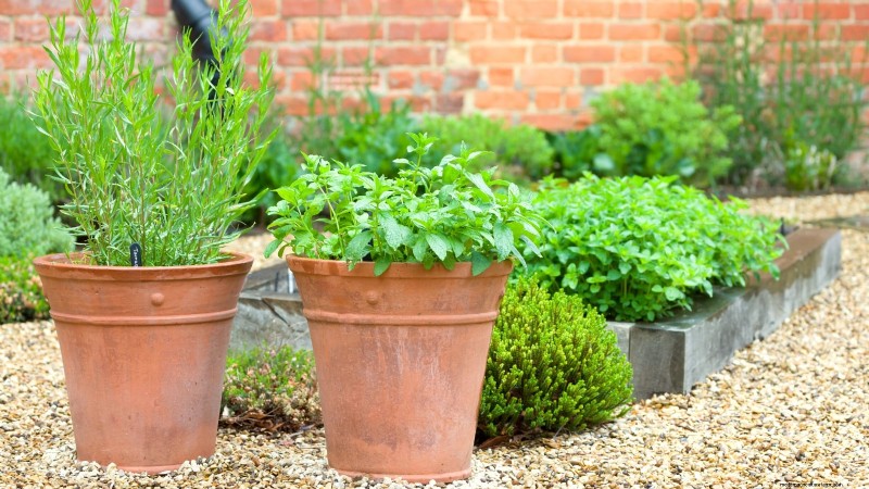 Design a Beautiful & Productive French Potager Garden