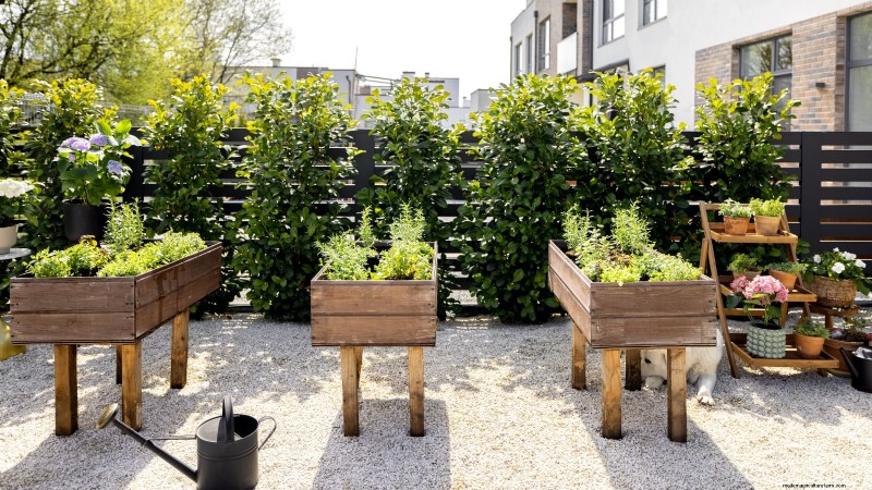 Design a Beautiful & Productive French Potager Garden