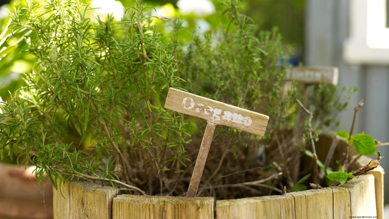 Design a Beautiful & Productive French Potager Garden