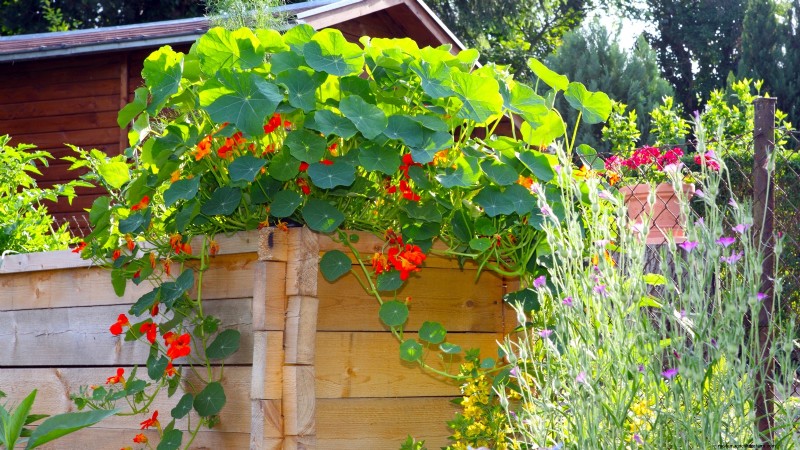 Design a Beautiful & Productive French Potager Garden