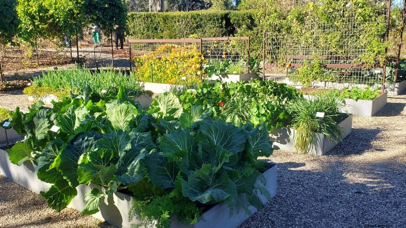 Design a Beautiful & Productive French Potager Garden