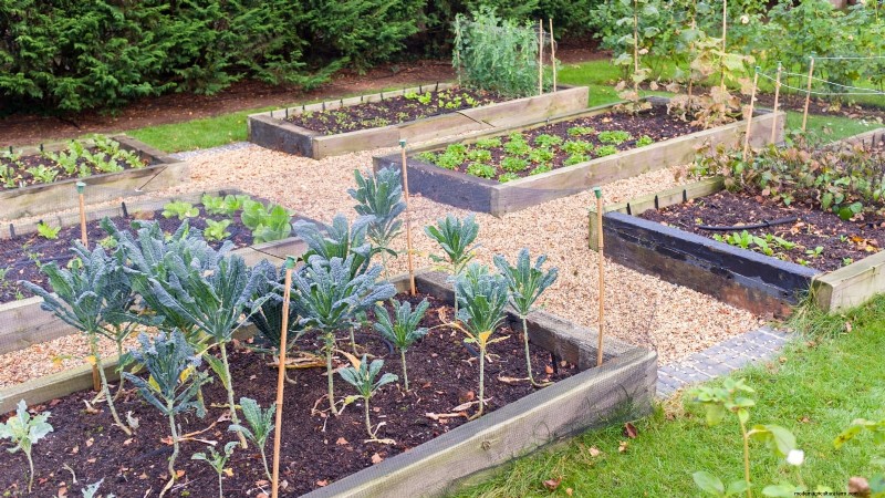 Design a Beautiful & Productive French Potager Garden