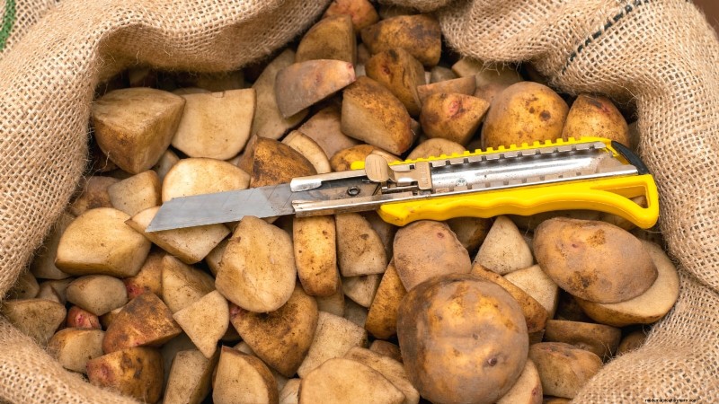 Potato Planting Guide: 9 Essential Tips for a Bountiful Harvest