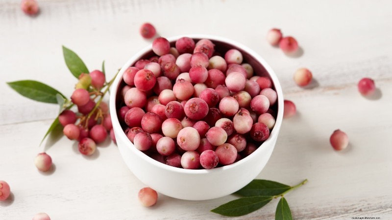 Growing Pink Lemonade Blueberries: A Comprehensive Guide