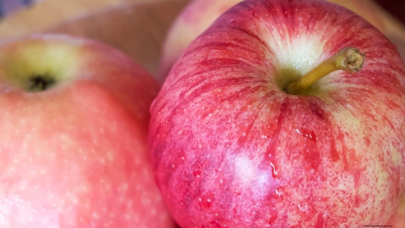 Gala Apple Tree: Planting, Growing & Care Guide