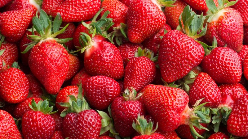 Best Strawberry Varieties for Home Gardens: A Comprehensive Guide