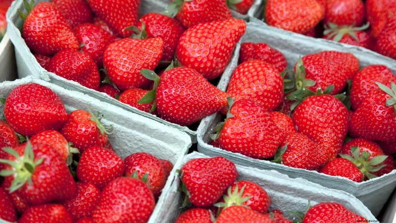Best Strawberry Varieties for Home Gardens: A Comprehensive Guide