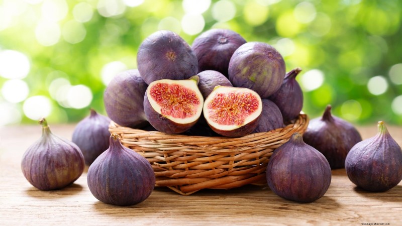 Grow Delicious Fig Trees: A Complete Guide for Beginners