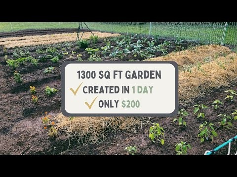 Vegetable Gardening in Zone 4: A Complete Guide for Success