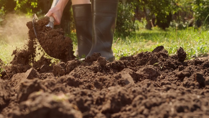 Vegetable Gardening in Zone 4: A Complete Guide for Success