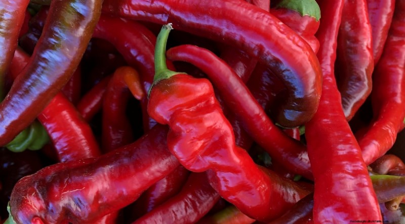 Jimmy Nardello Peppers: Growing, Care & Culinary Uses