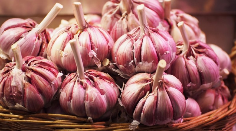 Softneck vs. Hardneck Garlic: A Comprehensive Guide