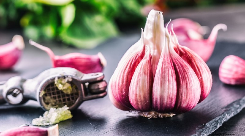 Softneck vs. Hardneck Garlic: A Comprehensive Guide