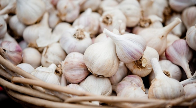 Softneck vs. Hardneck Garlic: A Comprehensive Guide