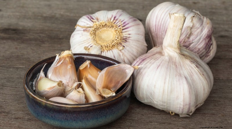 Softneck vs. Hardneck Garlic: A Comprehensive Guide
