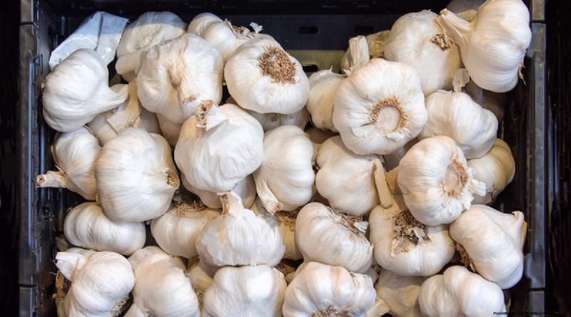 Softneck vs. Hardneck Garlic: A Comprehensive Guide