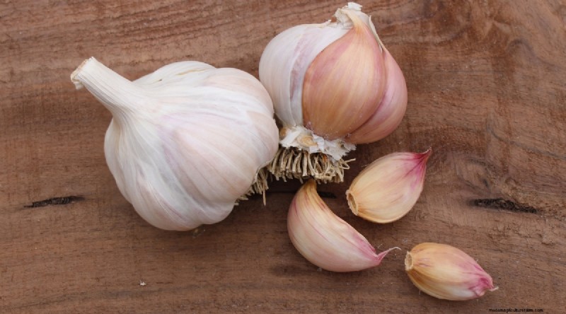 Softneck vs. Hardneck Garlic: A Comprehensive Guide