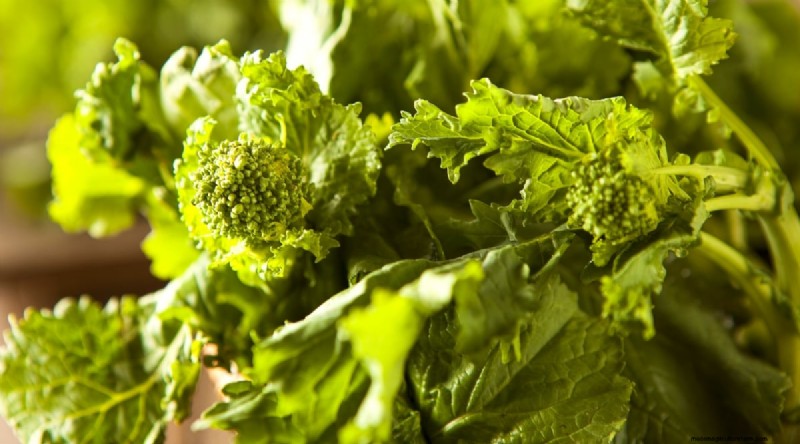 Grow Vegetables Indoors This Winter: 39 Delicious Varieties